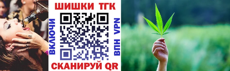 Канабис планчик  Оса 